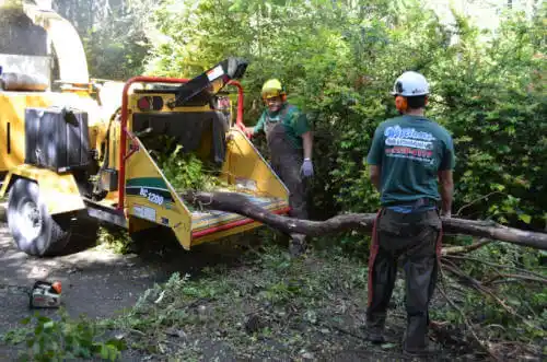 tree services Walford